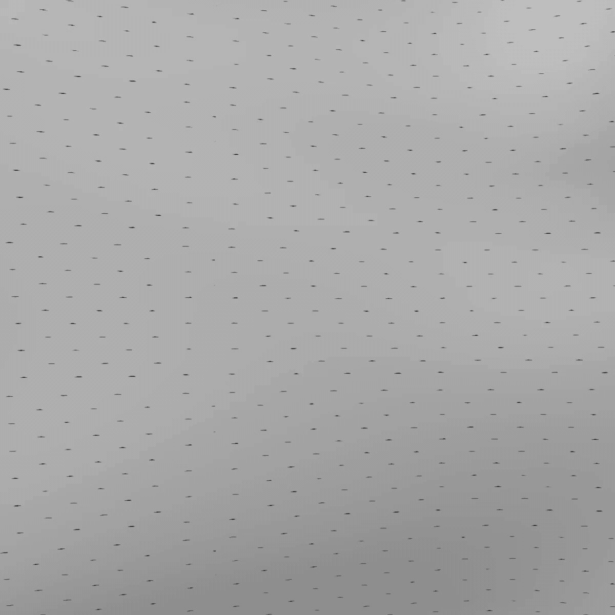 jersey.gif