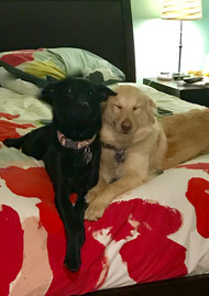 Peanut Butter and Jelly