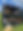image3.jpeg