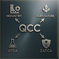 Shipment classification is a key step where the supervising authority is precisely determined — ensuring customs procedures a