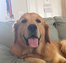 Oliver