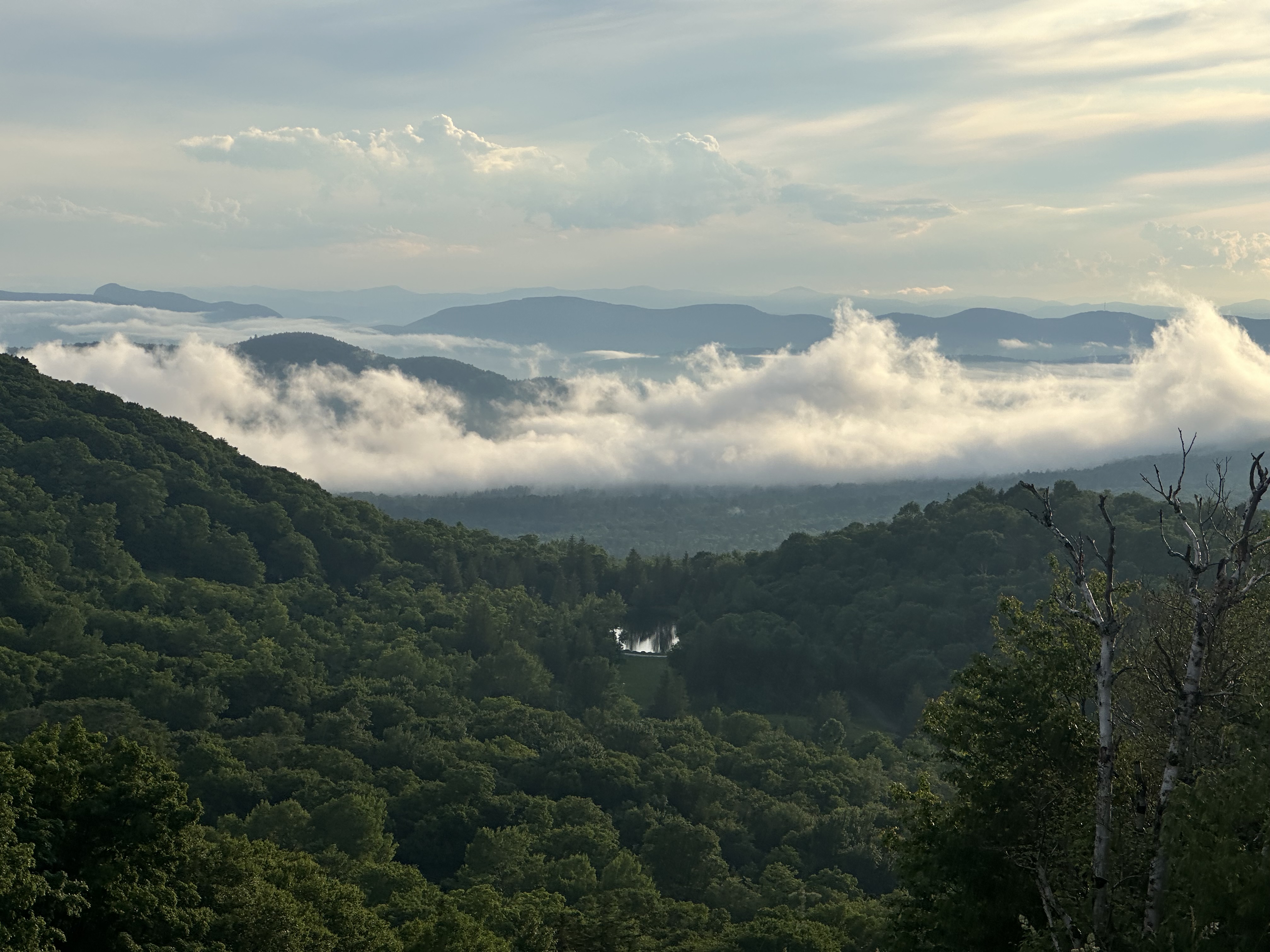 Deer Leap LLC