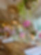 image00009.jpeg