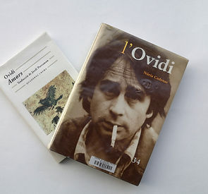 OVIDI MONTLLOR