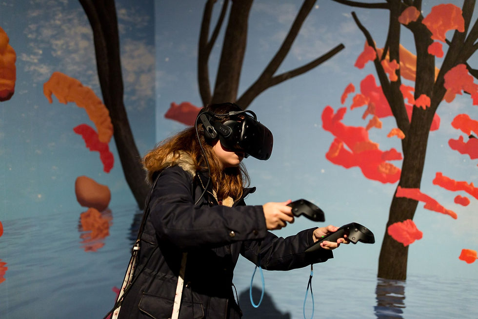 Digital Art in Immersive Spaces