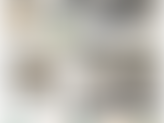 Laurel Park Through the Years