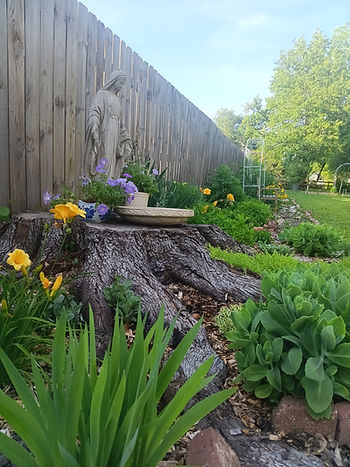A section of the Lewis family’s backyard garden. (Photos: Caitlin Lewis)