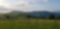 20210612_203242.jpeg