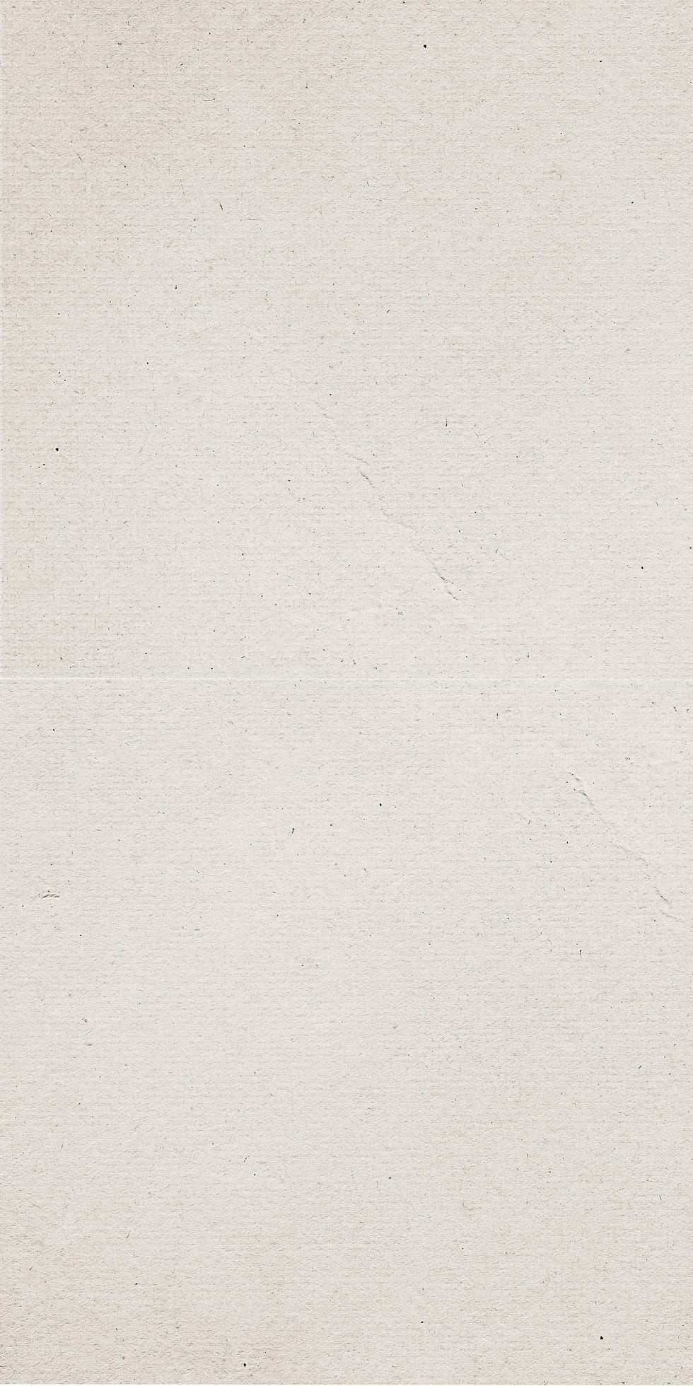 Hintergrund-Textur.jpg