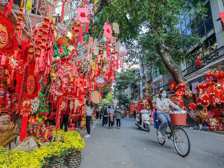Where to Go During Tet in Vietnam: Best Destinations, Travel Tips & Visa Essentials