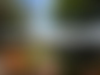 Vietnam, the New Destination for Digital Nomads in Southeast Asia