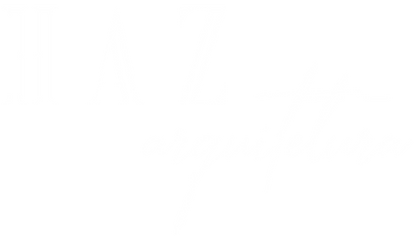 Haz Arquitetura Design - Marca NOVA_1 copy_edited.png