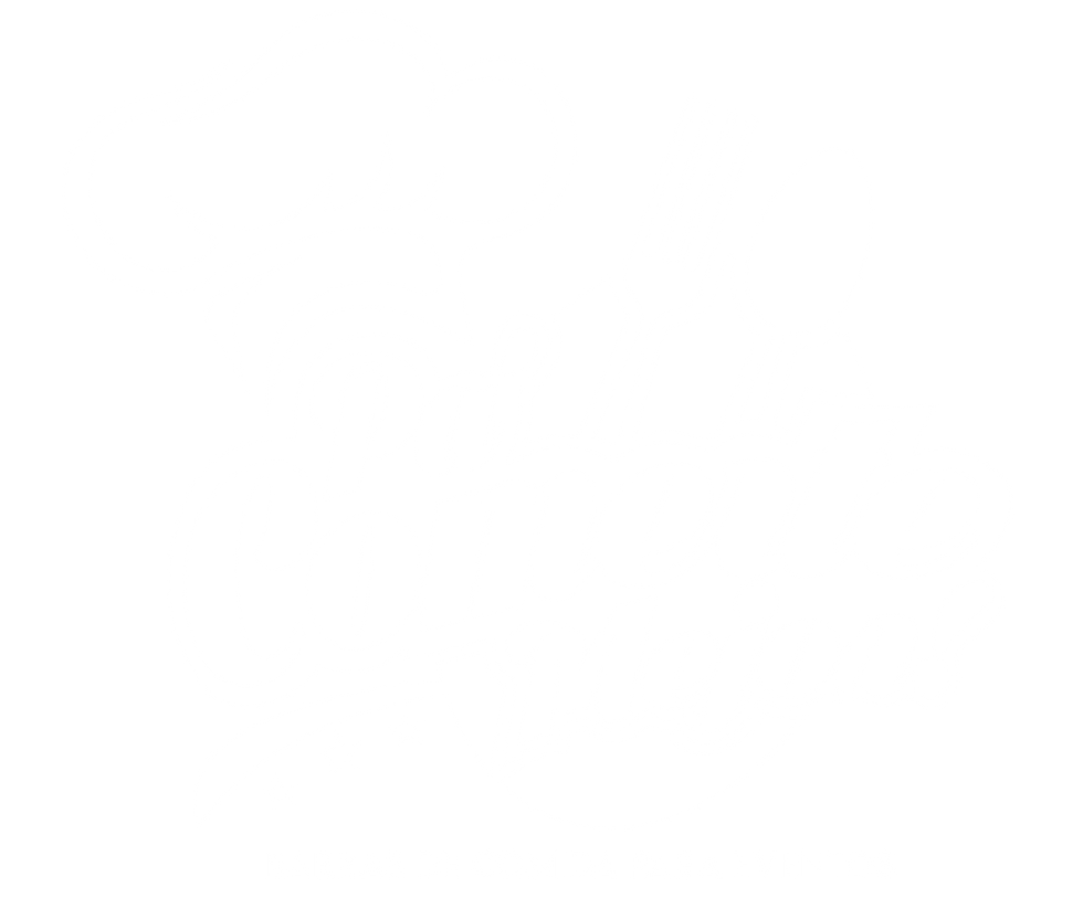 LOGO OP2.png