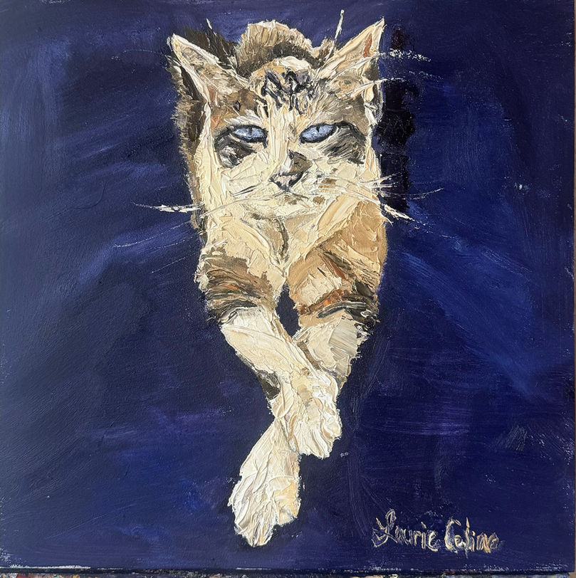 "Jack" My Blue Eyed Cat 12" x 12" oil on wood panel