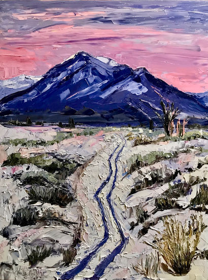 Taos Winter Ski Tracks