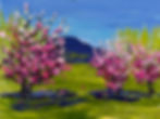 6_ x 8_ Full BloomDixon Orchard