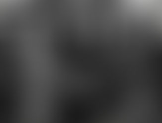 IN MEMORIAM: Master David M Williams 9th Degree: 1944-2024