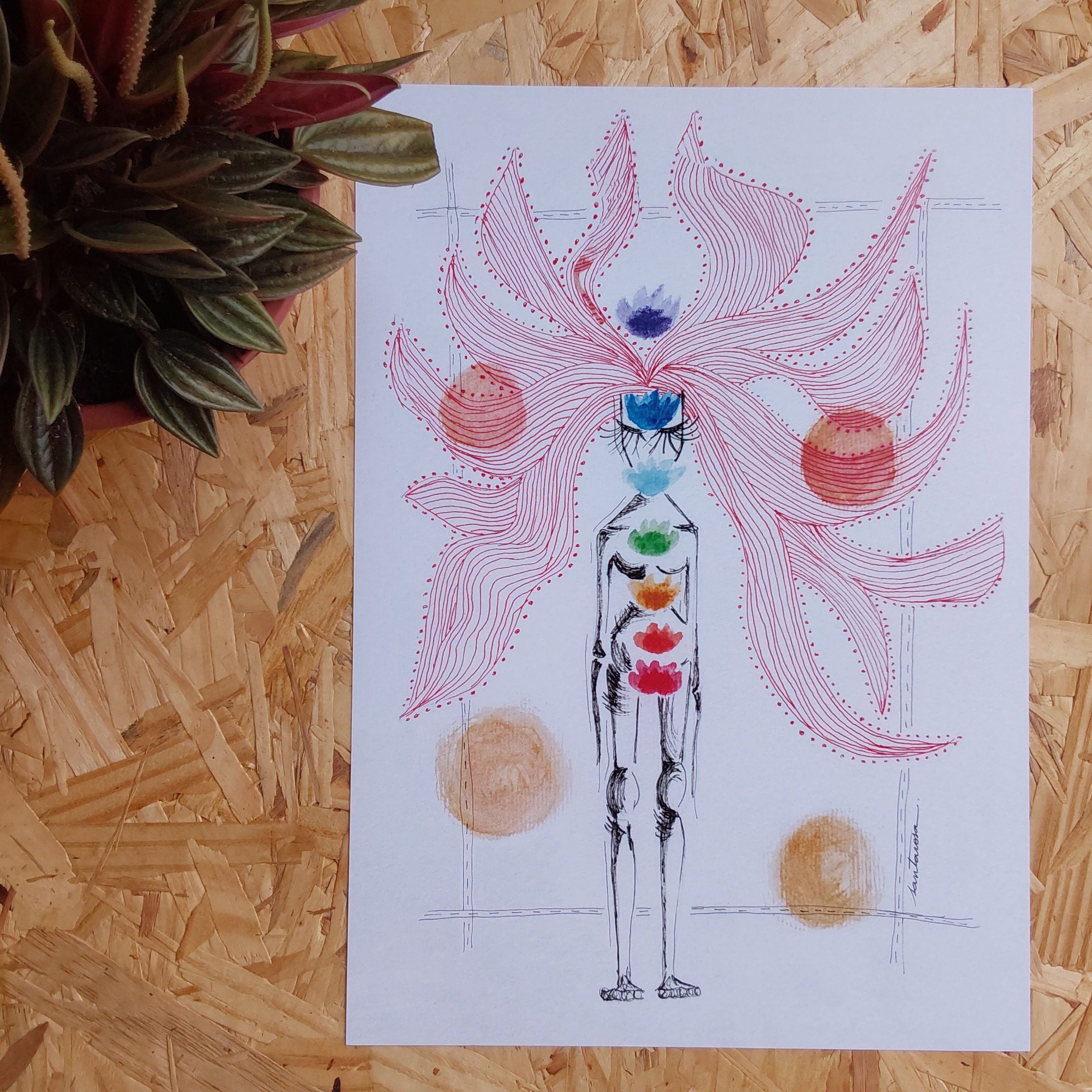 Chakras