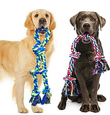 Screenshot (2033).png