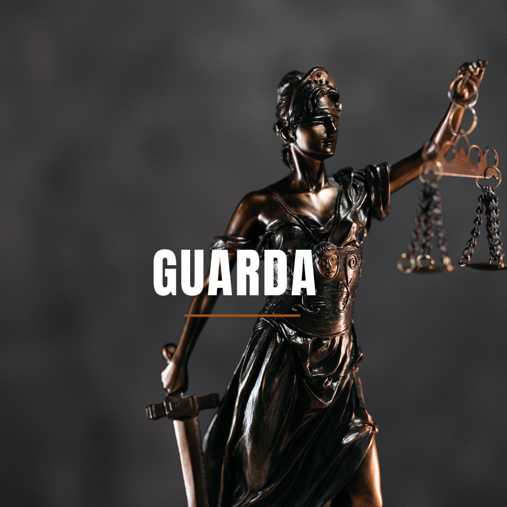 A guarda compartilhada sob a ótica do melhor interesse da criança.