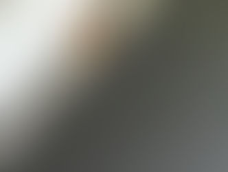 横浜市の蜂の巣駆除のプロフェッショナル　害虫害獣駆除本舗