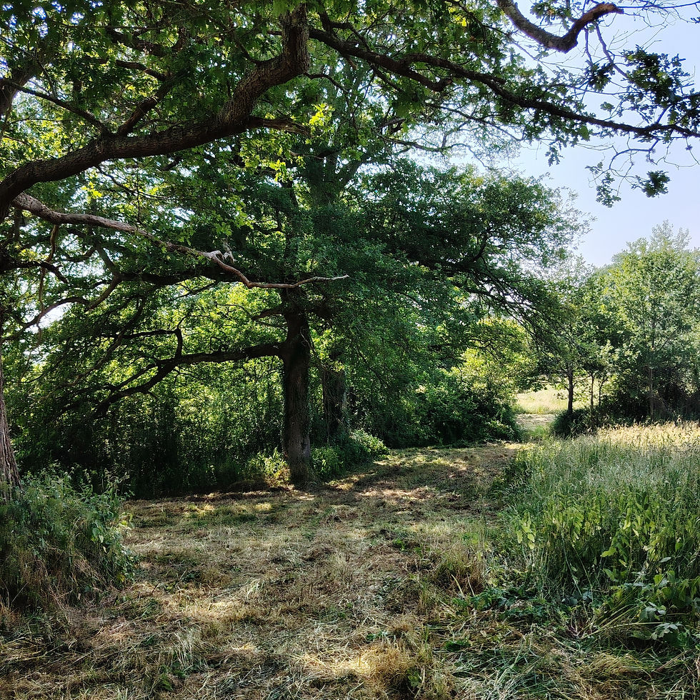 Emplacement - Kampeerplek - Campsite