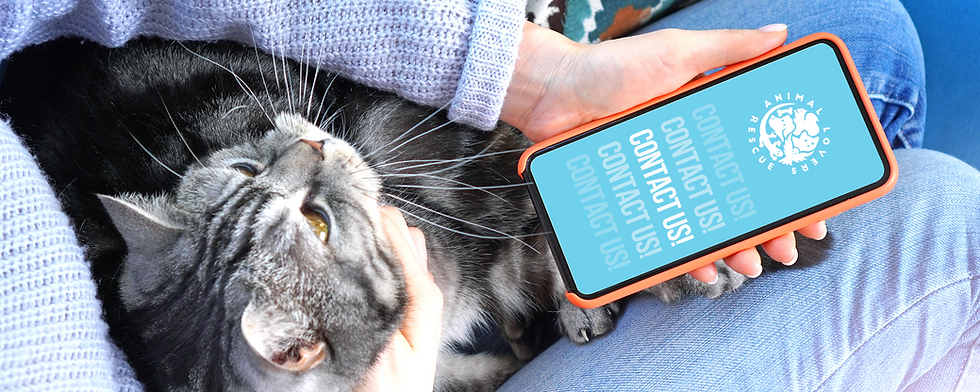 Woman holding phone with cat on her lap