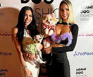 miami fashion alr.png