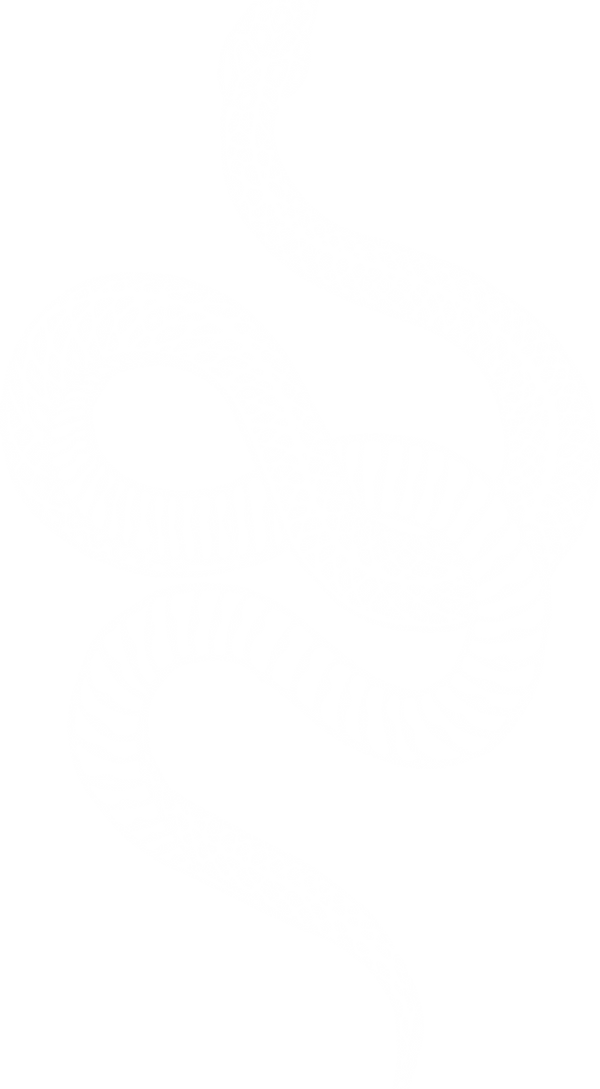 SNAKE.png