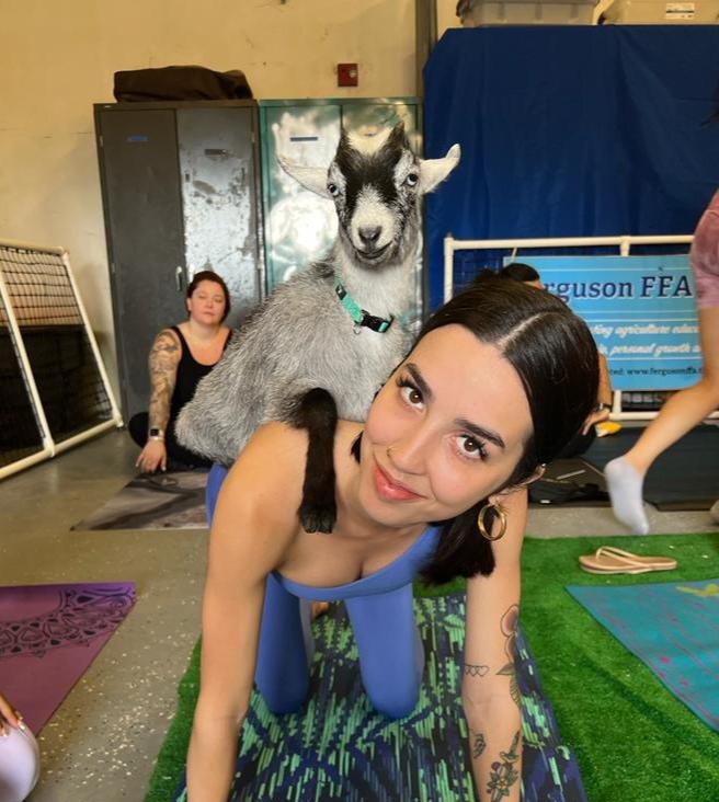 Goat Yoga 1