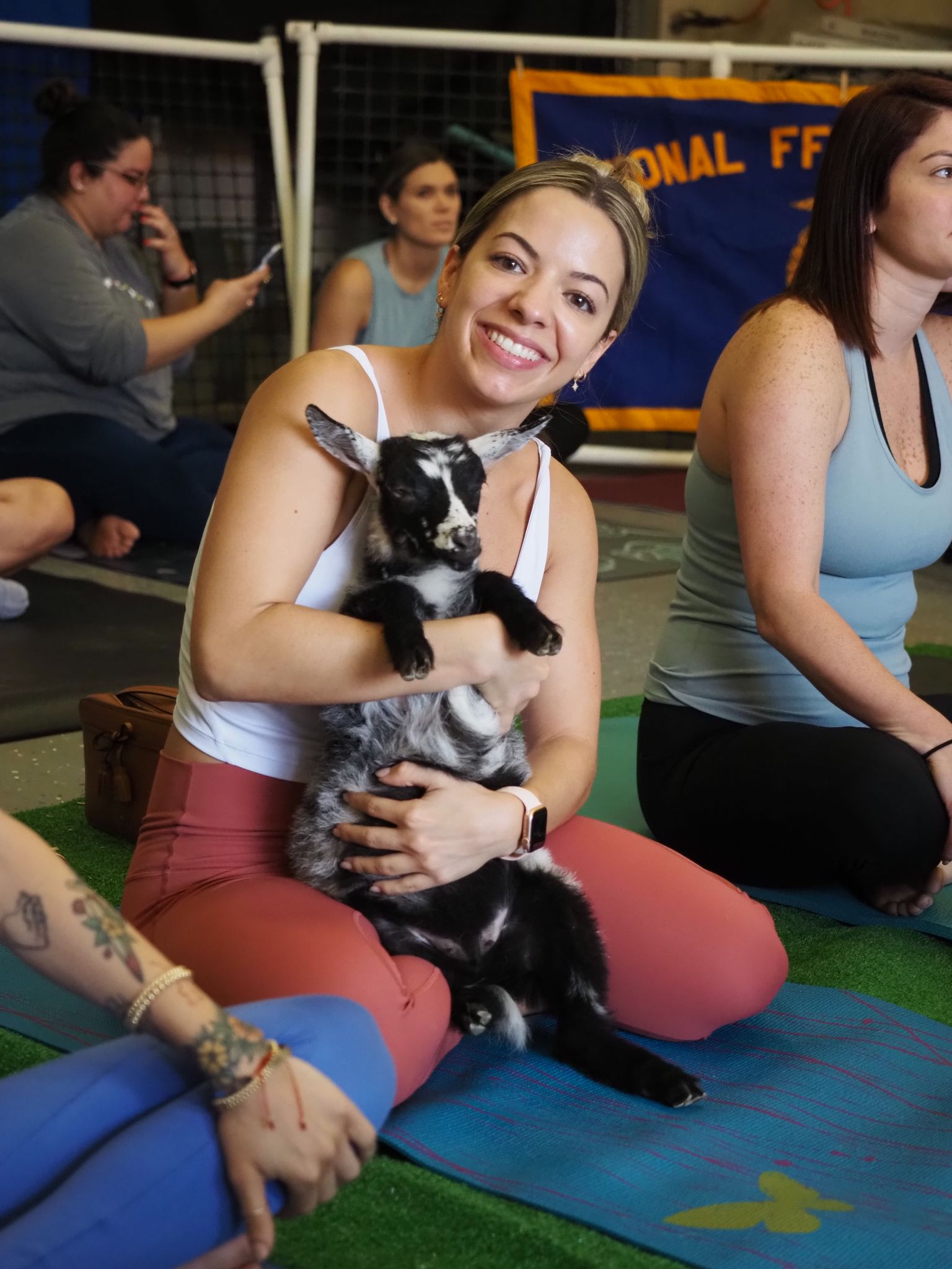 Goat Yoga 3