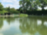 IMG_6144.jpeg