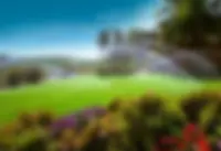 Irrigation-Water-Management.webp