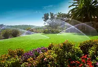 Irrigation-Water-Management.webp