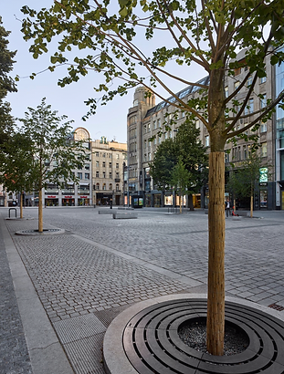 Foto:Filip Šlapal, zdroj : Jakub Cigler architekti a.s.