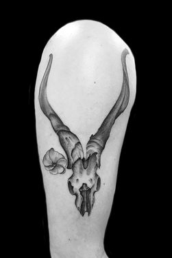 fine line georgia o'keeffe ram head tattoo on upper arm