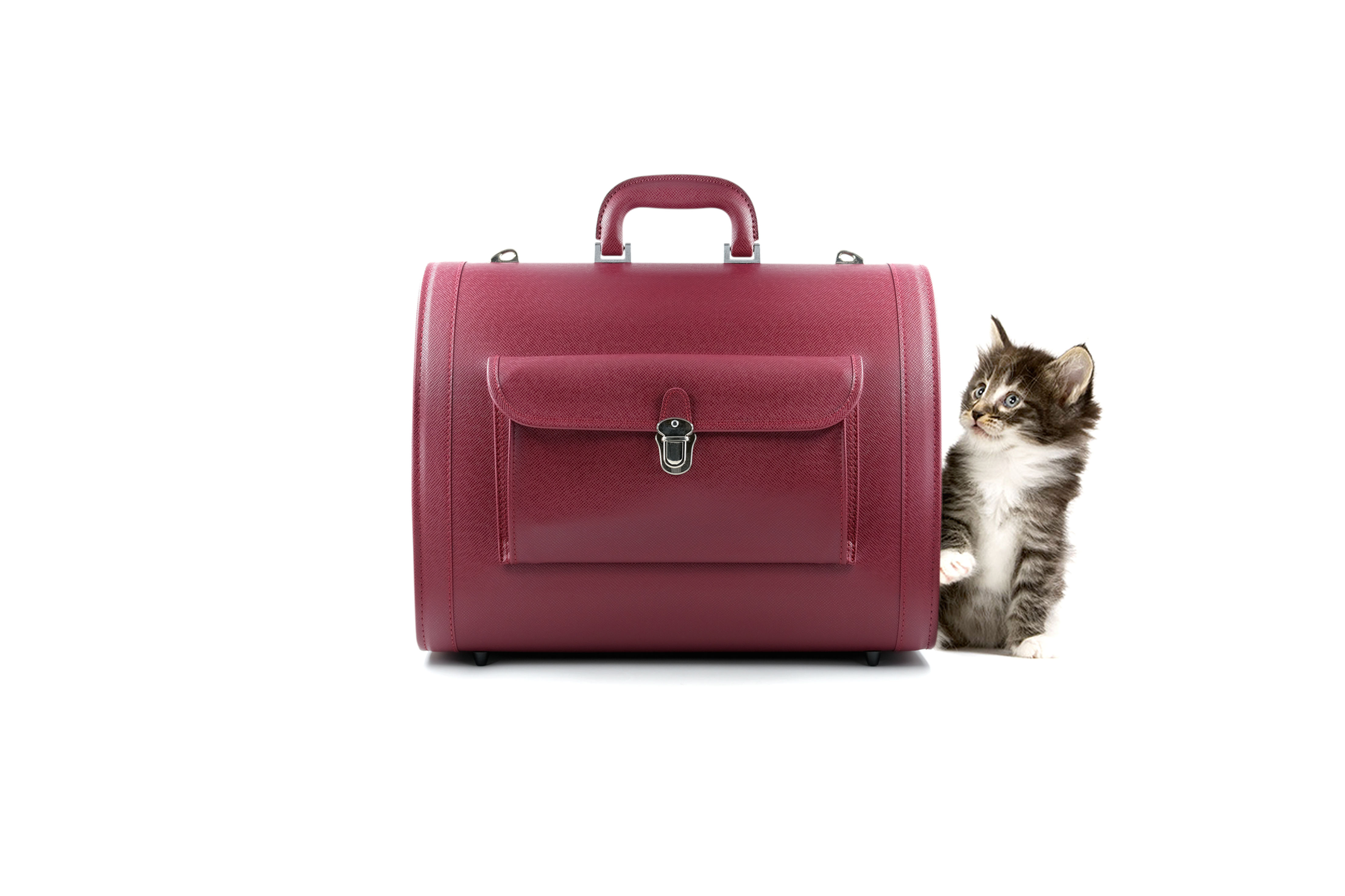 Handmade Toyooka Pet Travel Bag