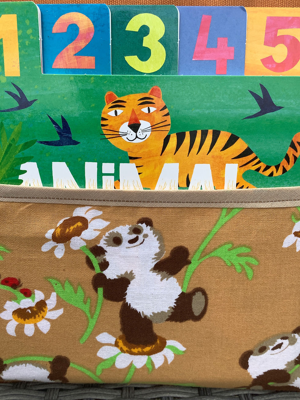 Thumbnail: Junior Readers Cushion &amp; Book ~ Animal Antics