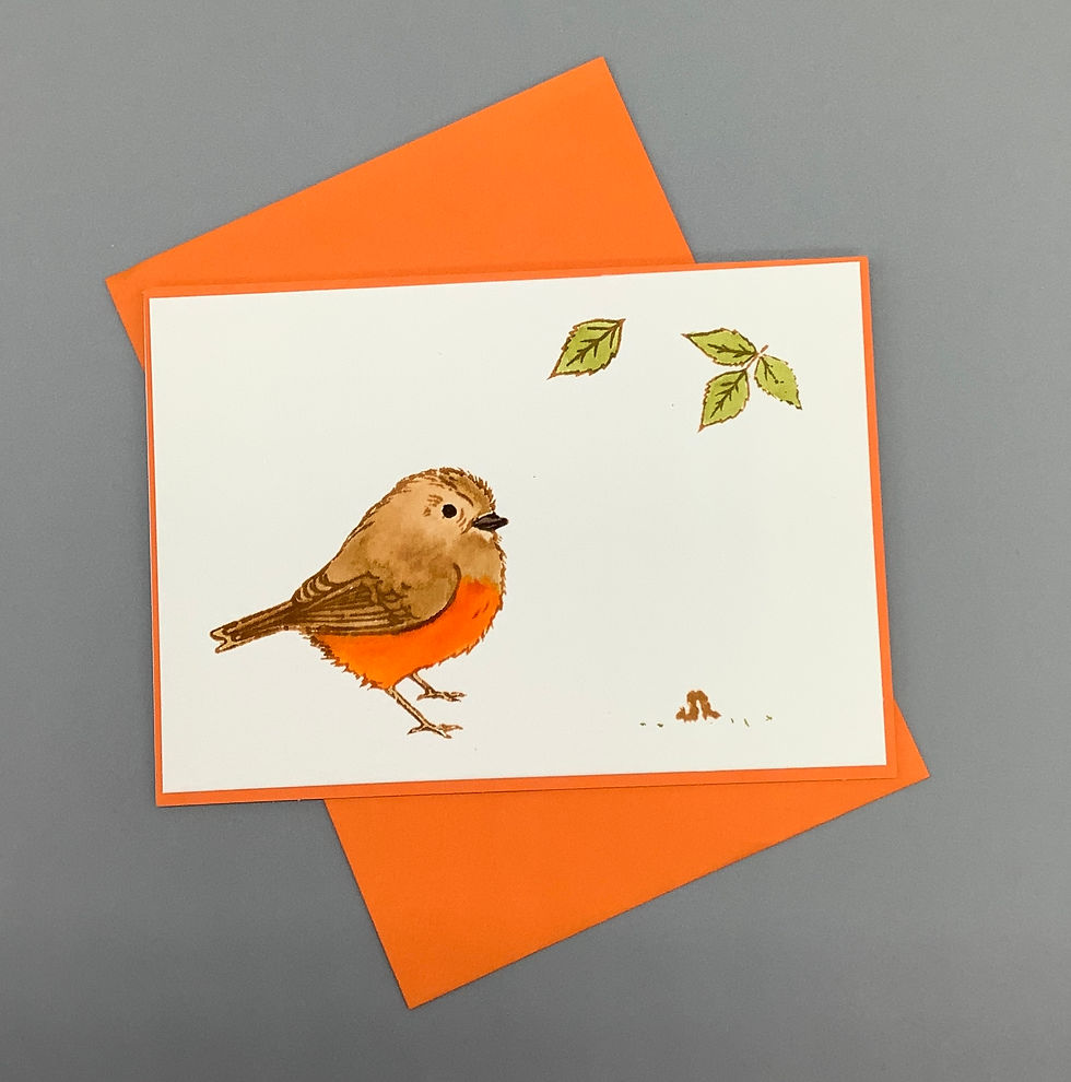 Thumbnail: Springtime - Robin