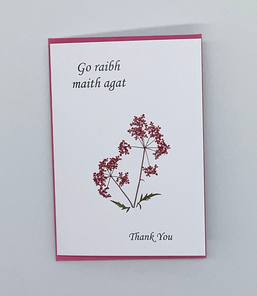 Thumbnail: Go raibh maith agat - Cow parsley