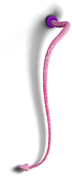 Website Tail - Road Map 3_00000.png