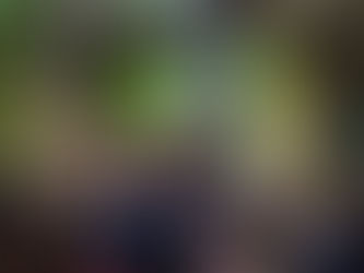 Jahrgang 3 im Zoo Hannover