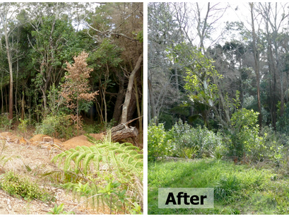 Meet the people making a difference in the green heart of Birkenhead.
