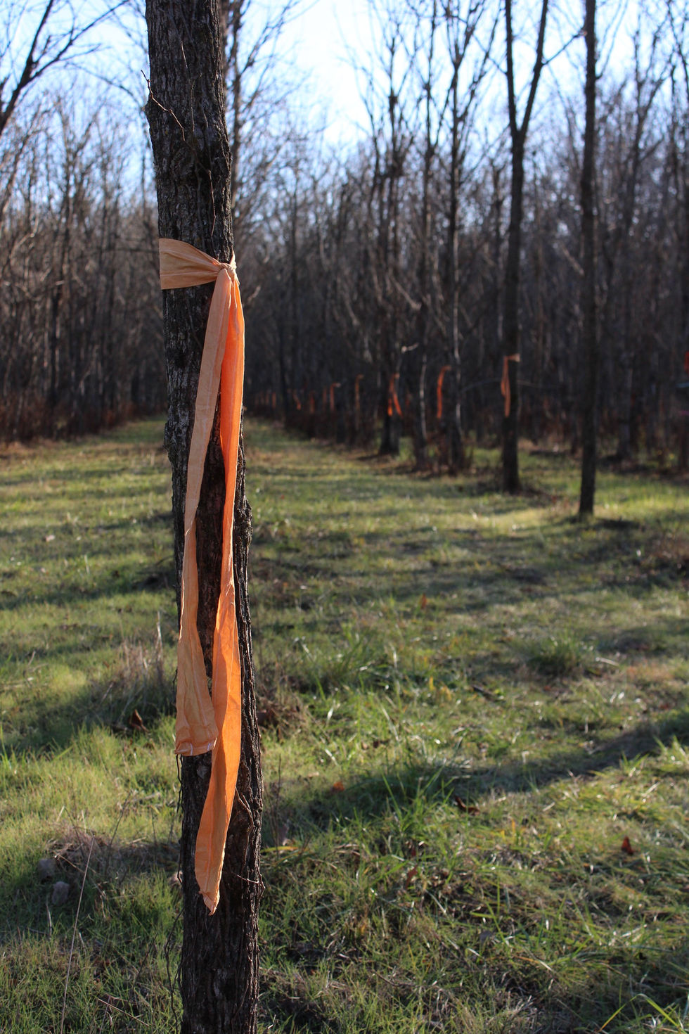 Title: Choked Out
Materials: Cotton, Hand Made Ink, Acetate, Thread
Year: 2025