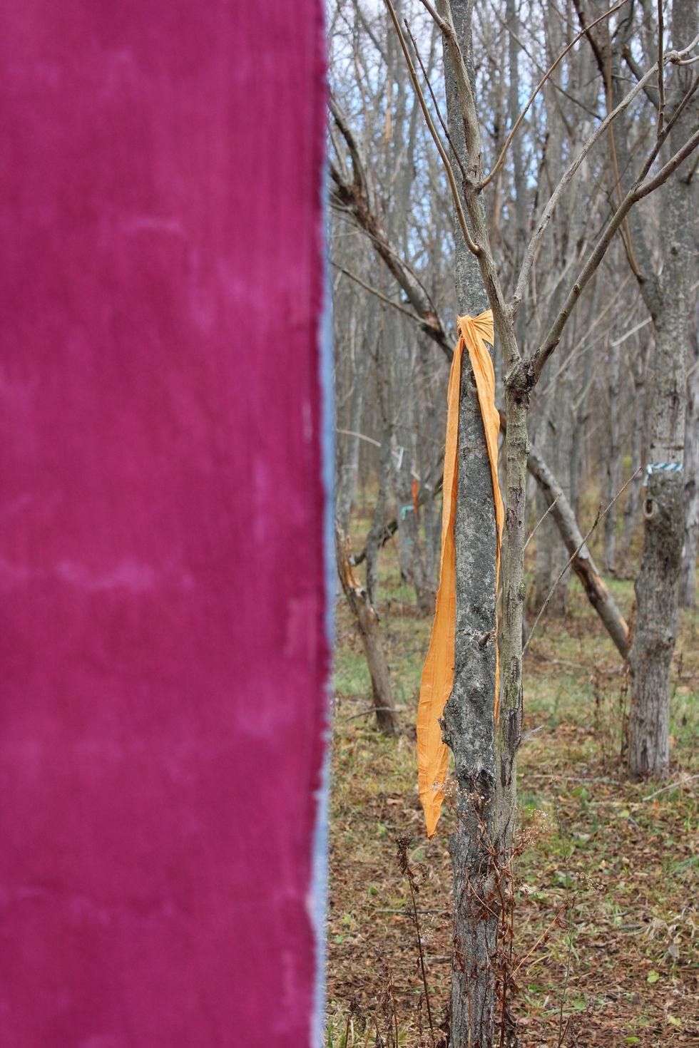 Title: Choked Out
Materials: Cotton, Hand Made Ink, Acetate, Thread
Year: 2025
