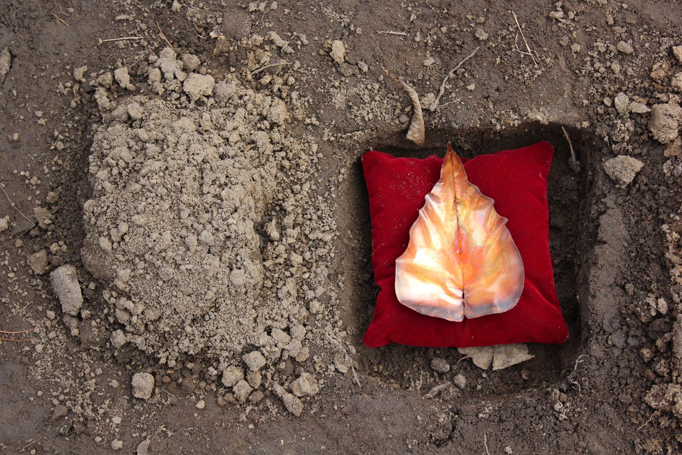 Title: Extinction
Materials: Copper, Velvet, Poly-fill, Thread, Weights
Year: 2025