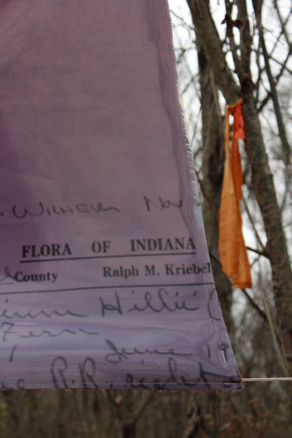 Title: Choked Out
Materials: Cotton, Hand Made Ink, Acetate, Thread
Year: 2025