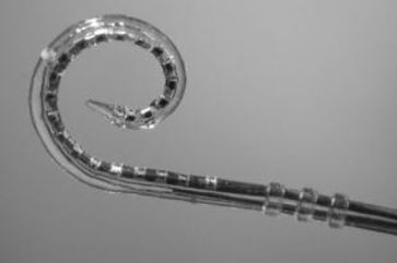 Website cochlear implant 3.JPG