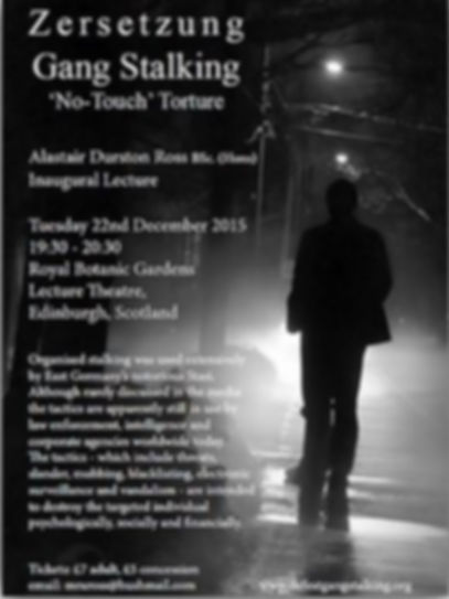 Website Gangstalking Zerzeitzung.JPG