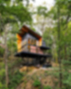 Tree Lofts Featured in StyleBlueprint
